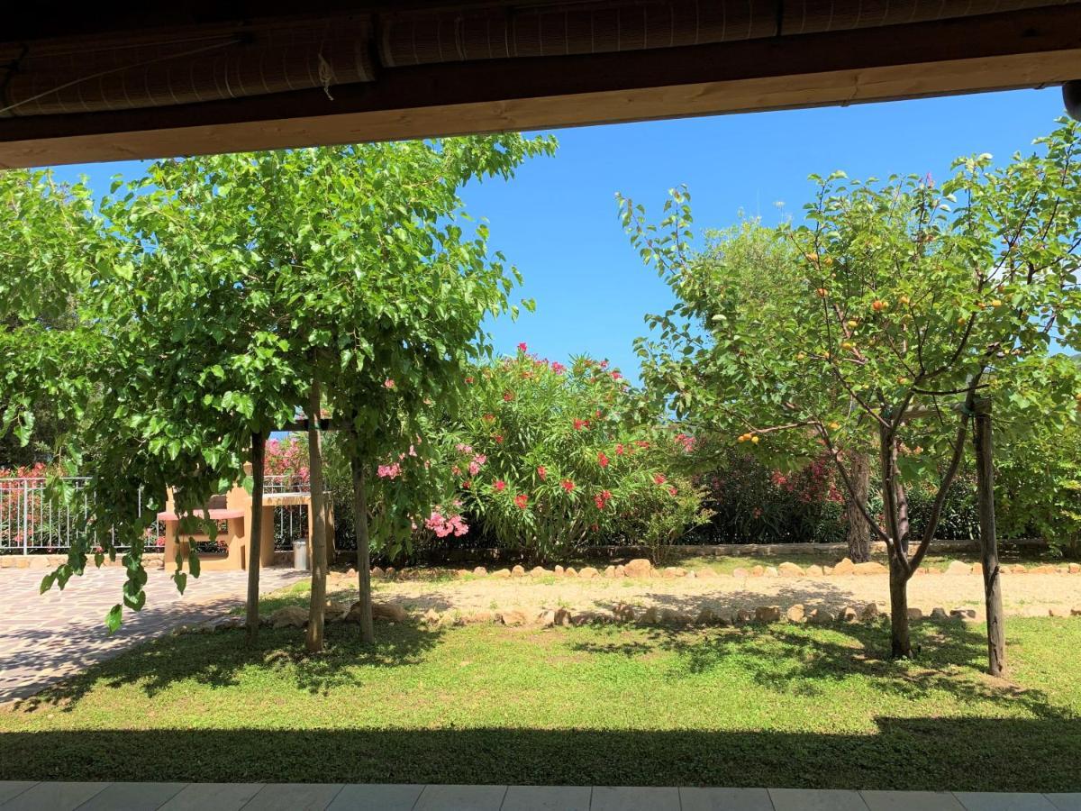 Borgo Dell'uccellaia - Turchese - Giada Villa *
